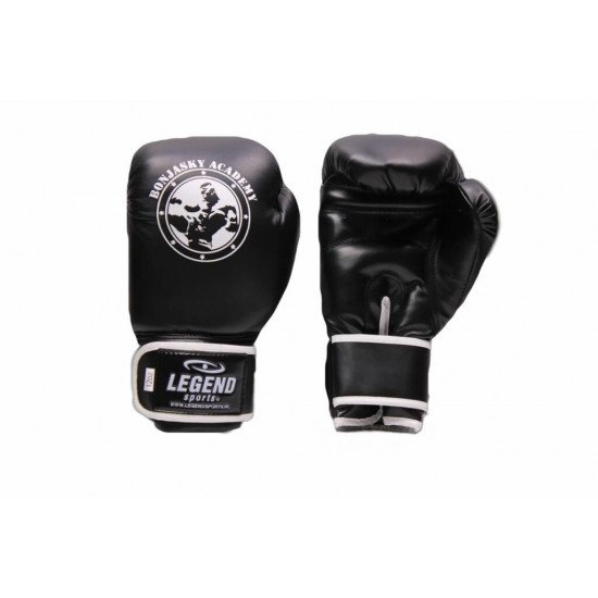 Bokshandschoenen Remy Bonjasky Legend zwart - Maat: 10oz