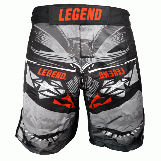 Sportbroekje Legend DryFit MMA Spartan - Maat: XL